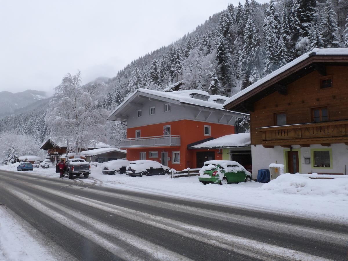 Alpen Appartements Viehhofen - Incl Sommercard Zell Am See Viehhofen Kültér fotó