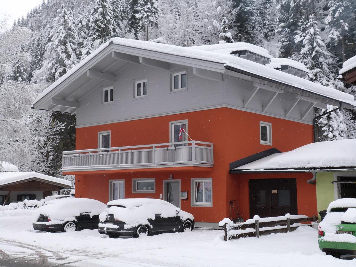 Alpen Appartements Viehhofen - Incl Sommercard Zell Am See Viehhofen Kültér fotó