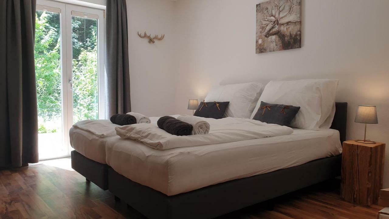 Alpen Appartements Viehhofen - Incl Sommercard Zell Am See Viehhofen Kültér fotó